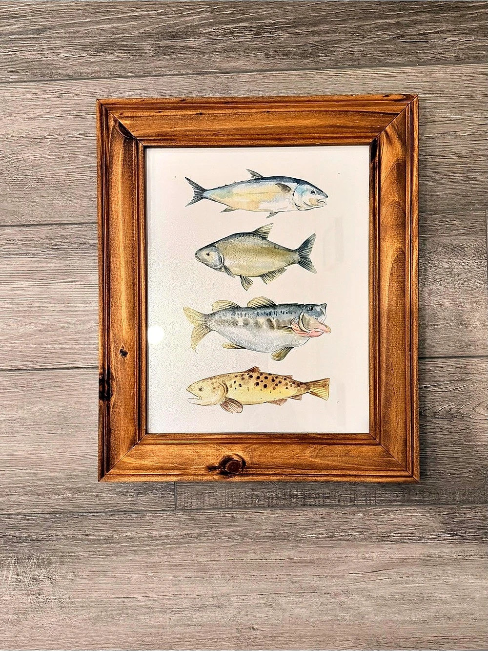 Framed Fish Print in Brown & White (2)